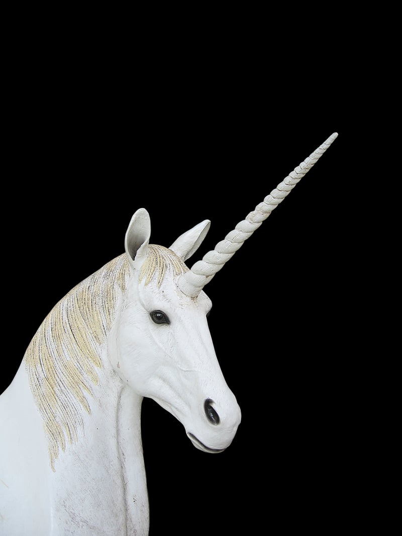 Unicorn Inspired Outfit